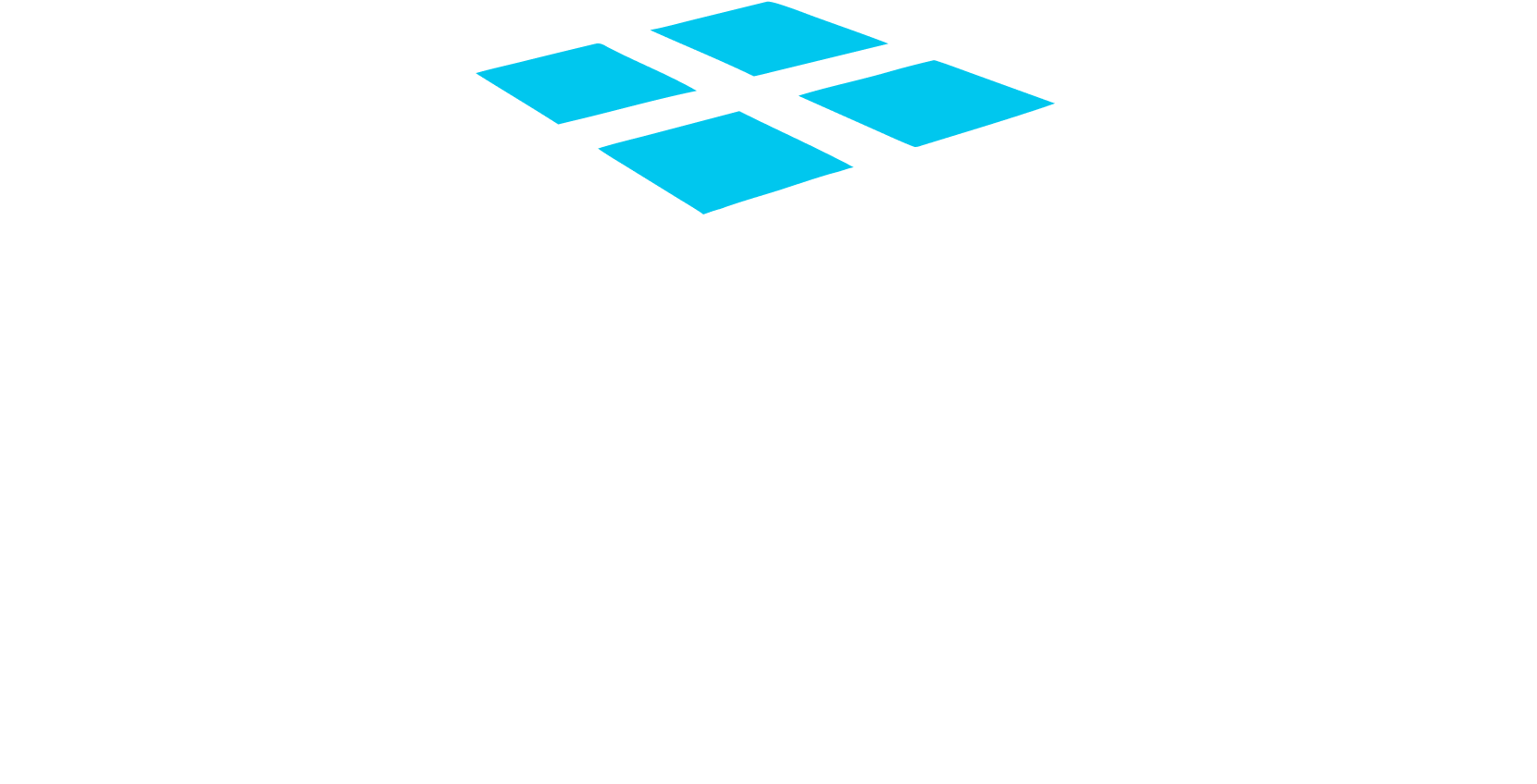 terminal view hero logo white